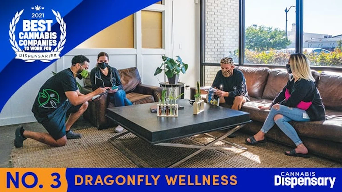 No. 3 Best Cannabis Companies to Work For - Dispensaries: Dragonfly